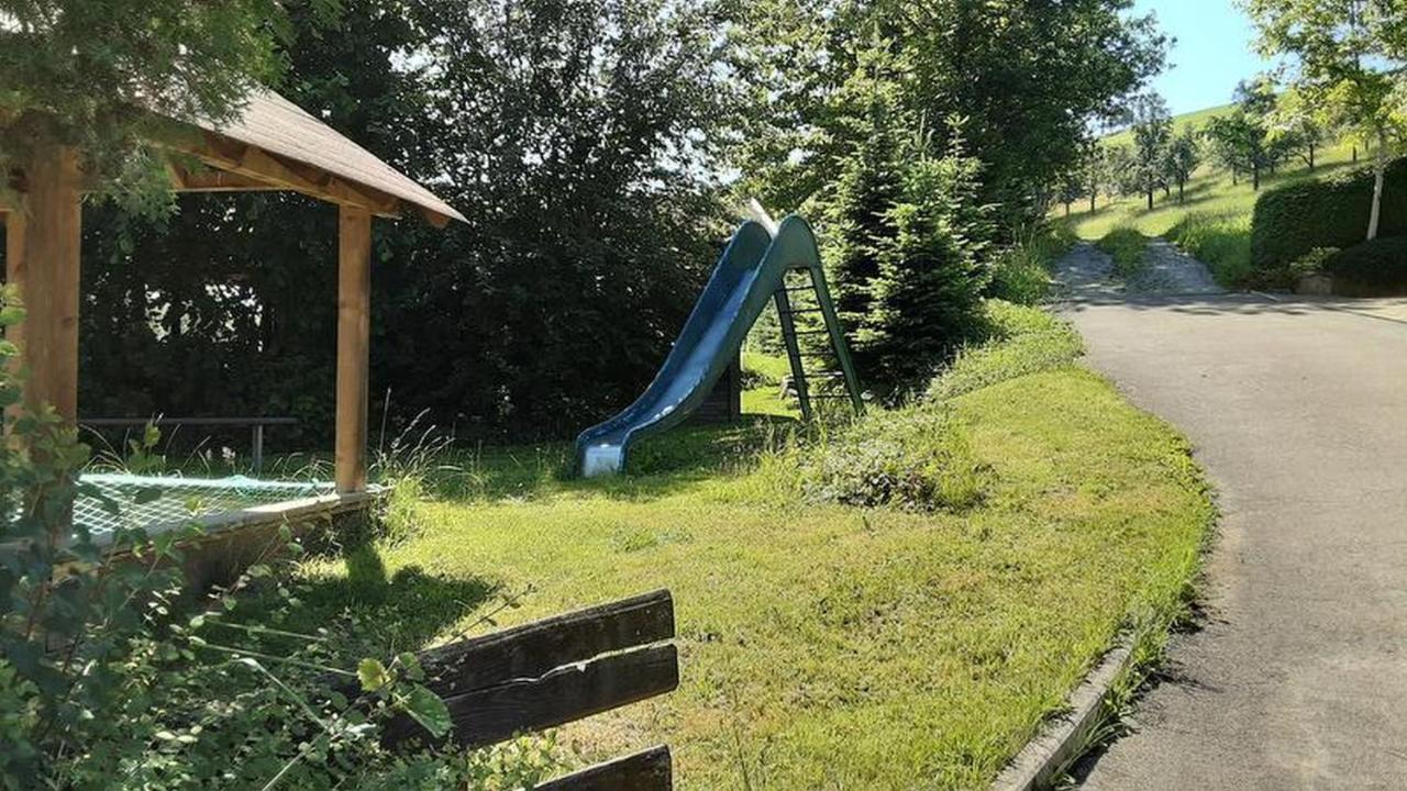 Schoener Apartment Oberharmersbach