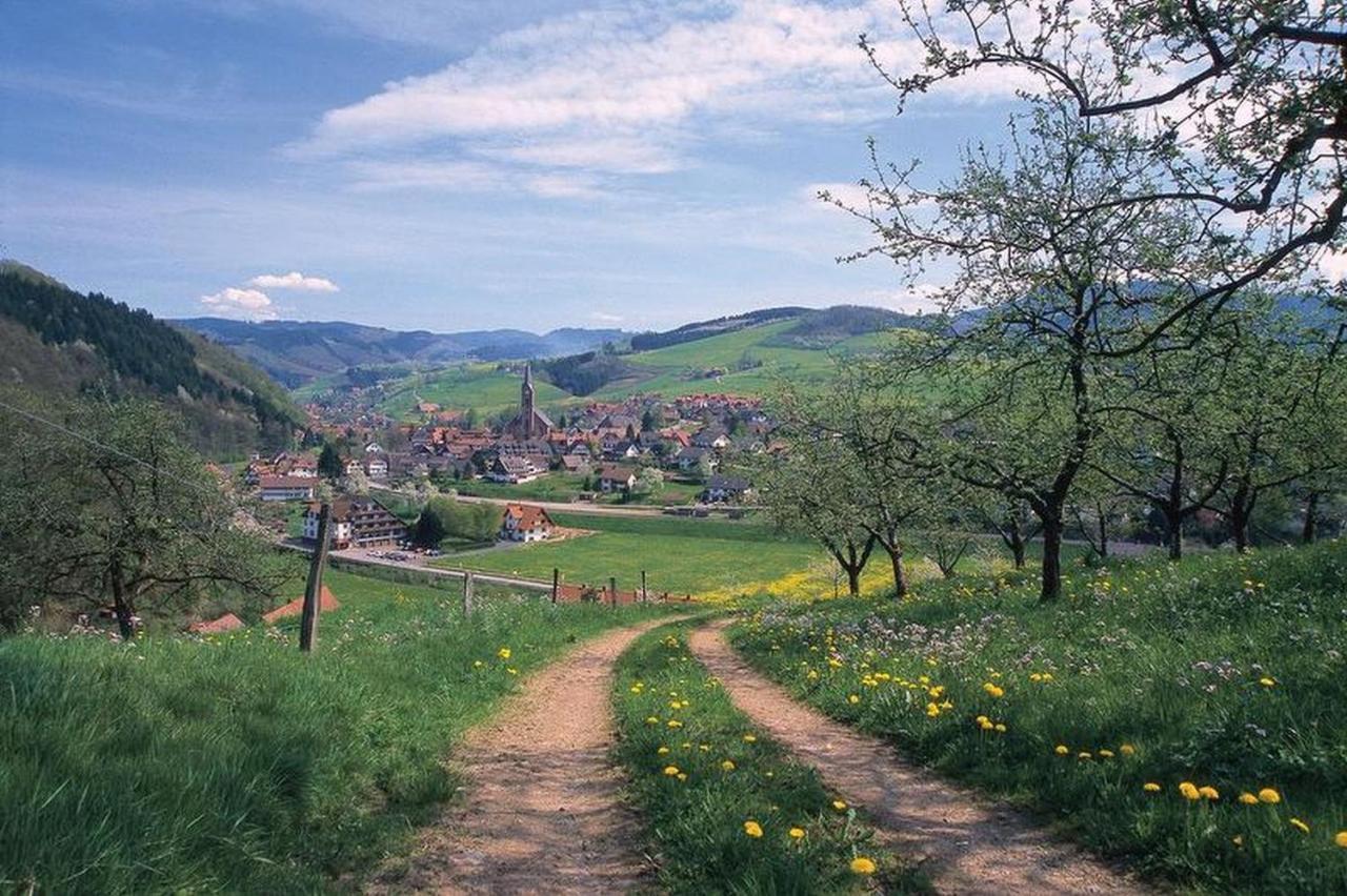 Schoener Oberharmersbach